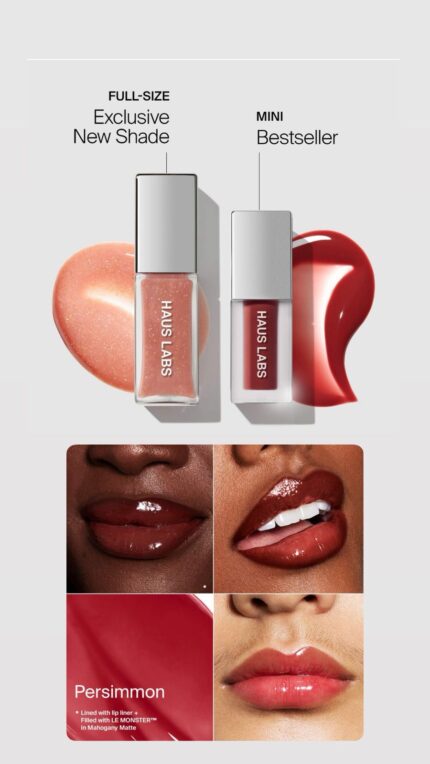 Kit LIp Oil Haus Labs